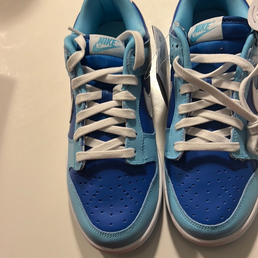 Dunks blue and white